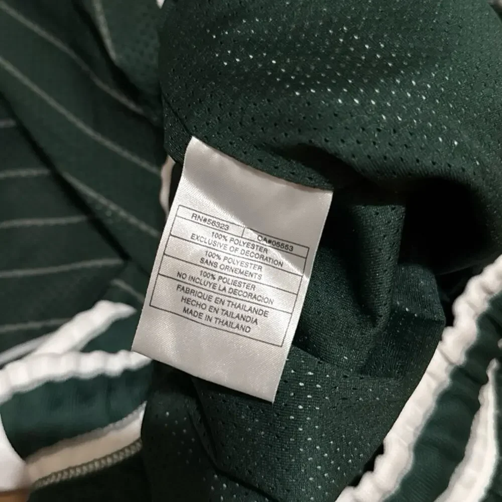Air Jordan Wings 20th Anniversary Green Pinstripe Diamond Silky Shiny Y2K Shorts